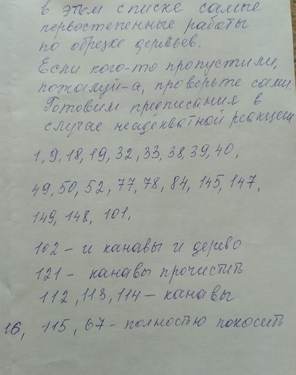 Дачная бухгалтерия: что нужно знать о взносах в СНТ